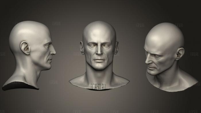 Скульптура мужской головы 06 3d stl модель для ЧПУ